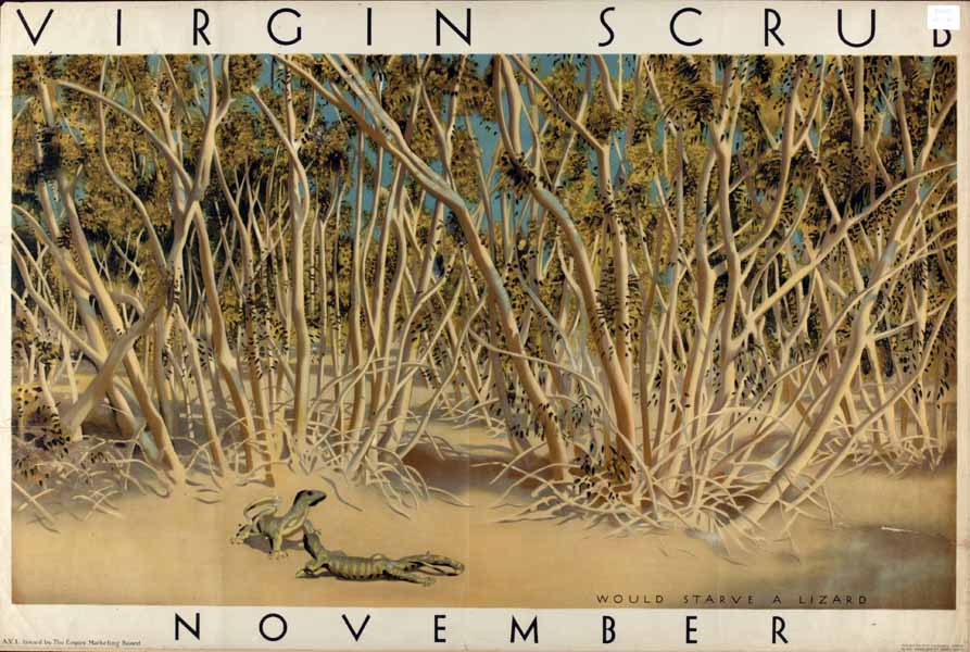 November - virgin scrub